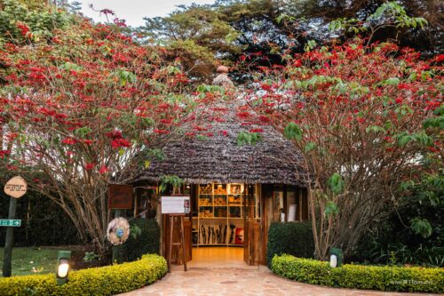 Tanzania_Luxe_Nov24_L-165