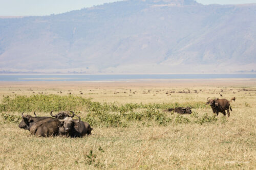 Tanzania_Luxe_Nov24_L-195