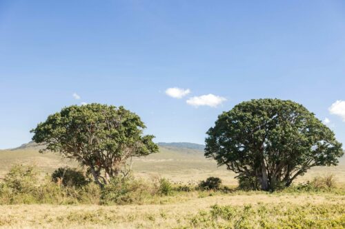 Tanzania_Luxe_Nov24_L-210