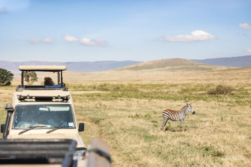 Tanzania_Luxe_Nov24_L-211