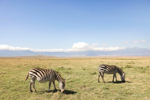 Tanzania_Luxe_Nov24_L-214