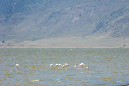 Tanzania_Luxe_Nov24_L-238