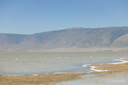 Tanzania_Luxe_Nov24_L-240