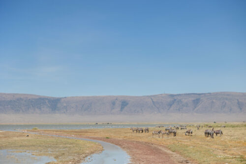 Tanzania_Luxe_Nov24_L-241