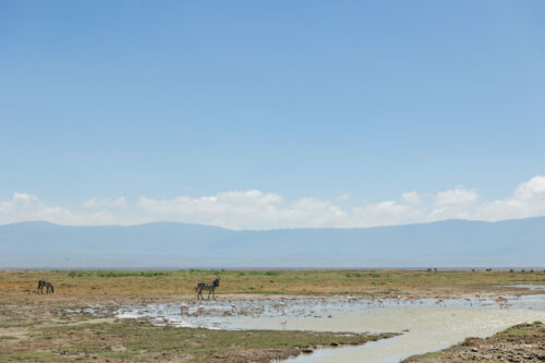 Tanzania_Luxe_Nov24_L-242