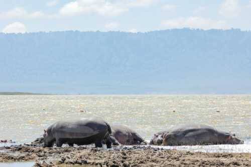Tanzania_Luxe_Nov24_L-245