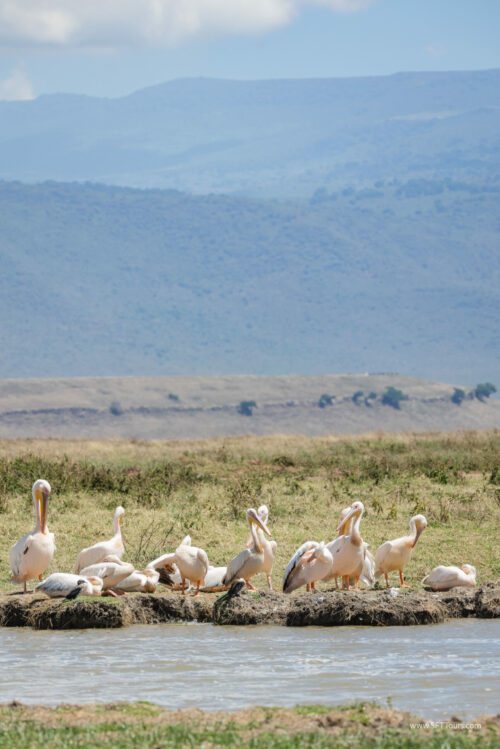 Tanzania_Luxe_Nov24_L-253
