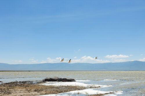Tanzania_Luxe_Nov24_L-265
