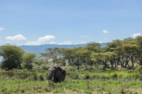 Tanzania_Luxe_Nov24_L-270