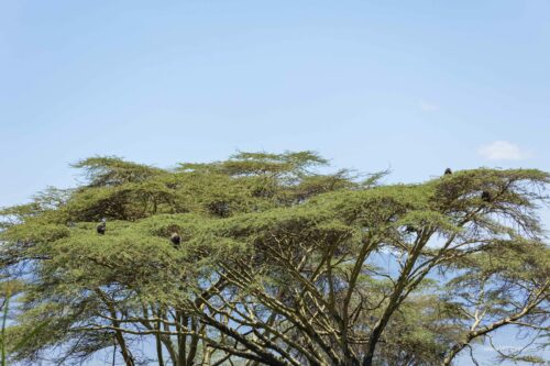 Tanzania_Luxe_Nov24_L-291