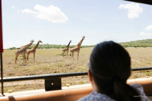 Tanzania_Luxe_Nov24_L-316