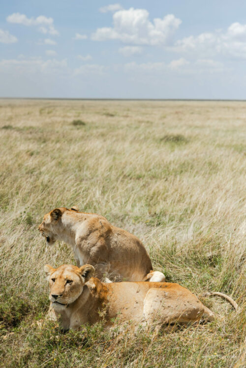 Tanzania_Luxe_Nov24_L-331