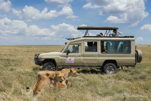 Tanzania_Luxe_Nov24_L-332