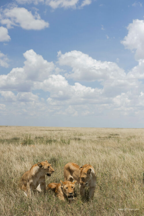 Tanzania_Luxe_Nov24_L-335