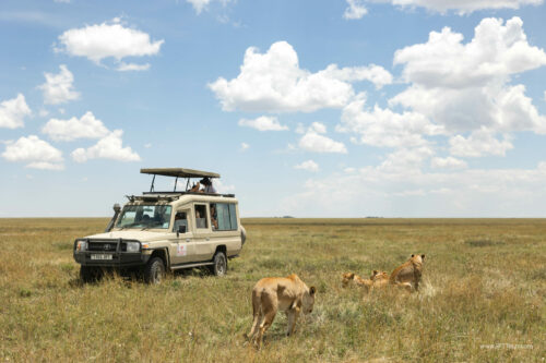 Tanzania_Luxe_Nov24_L-337