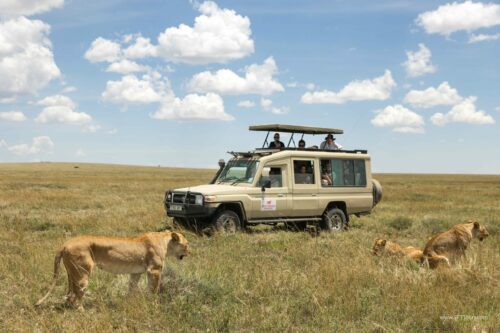 Tanzania_Luxe_Nov24_L-338