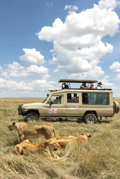 Tanzania_Luxe_Nov24_L-342