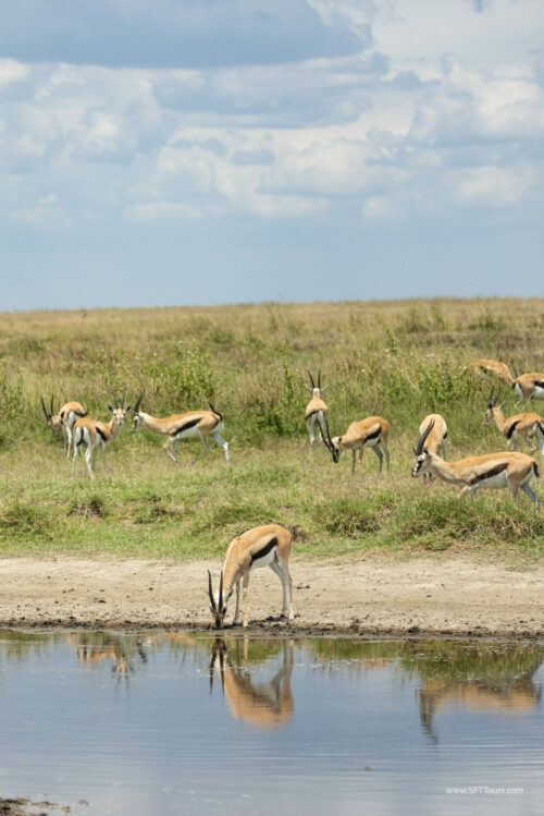 Tanzania_Luxe_Nov24_L-351