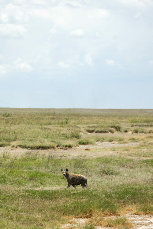 Tanzania_Luxe_Nov24_L-355