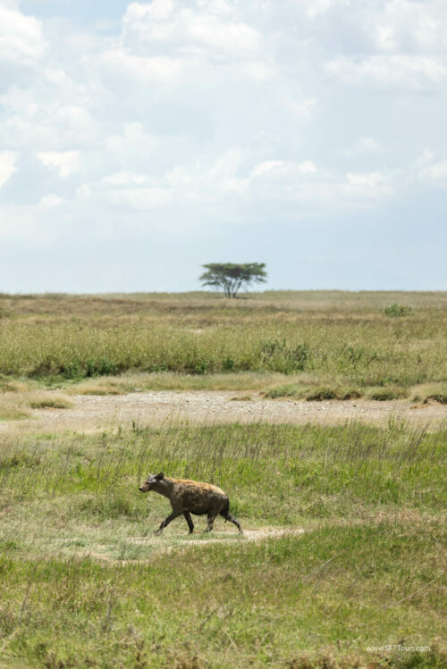 Tanzania_Luxe_Nov24_L-356