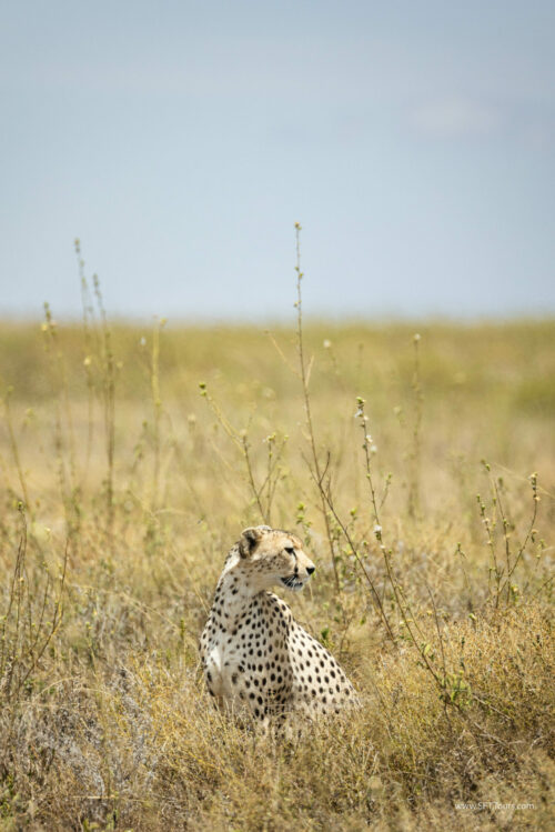 Tanzania_Luxe_Nov24_L-360