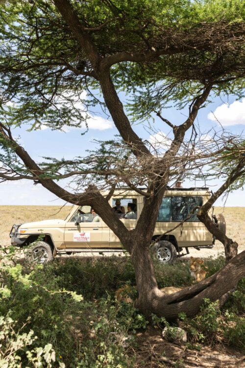 Tanzania_Luxe_Nov24_L-366
