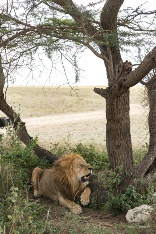 Tanzania_Luxe_Nov24_L-368