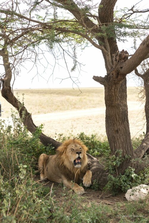 Tanzania_Luxe_Nov24_L-370