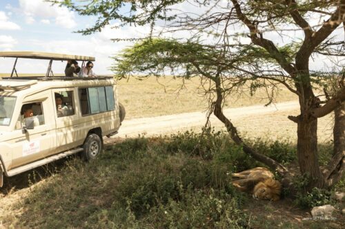 Tanzania_Luxe_Nov24_L-376
