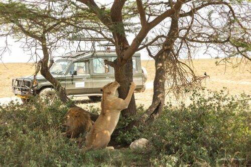 Tanzania_Luxe_Nov24_L-378
