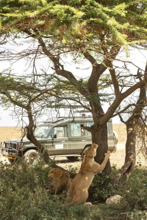 Tanzania_Luxe_Nov24_L-379