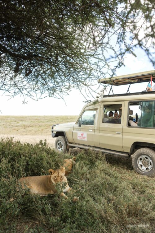 Tanzania_Luxe_Nov24_L-386