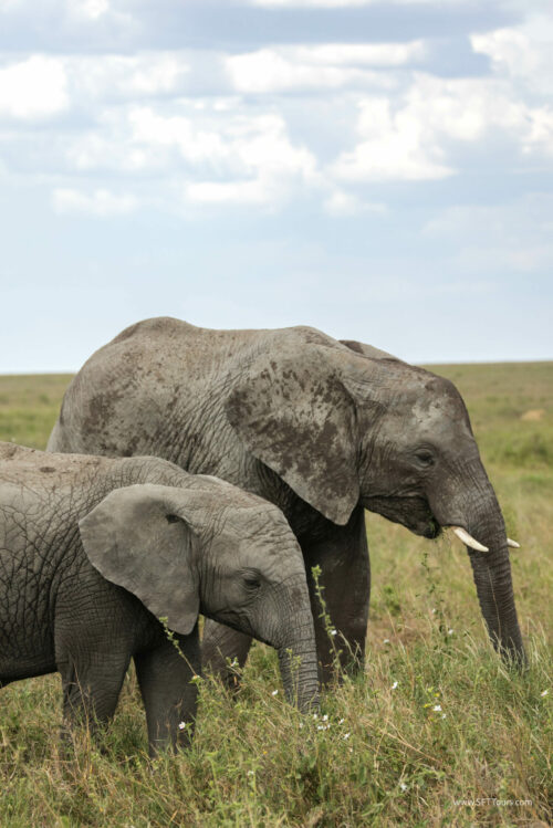 Tanzania_Luxe_Nov24_L-402