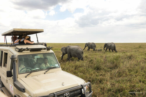 Tanzania_Luxe_Nov24_L-415