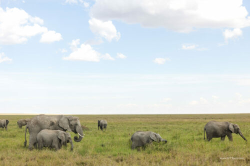 Tanzania_Luxe_Nov24_L-418