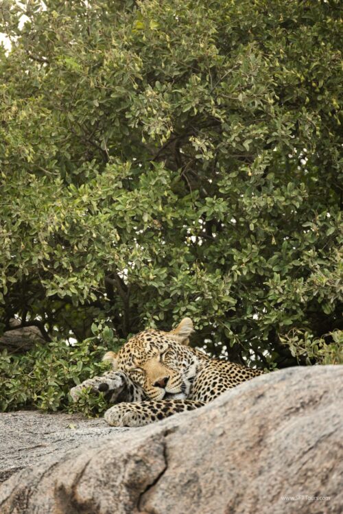 Tanzania_Luxe_Nov24_L-430