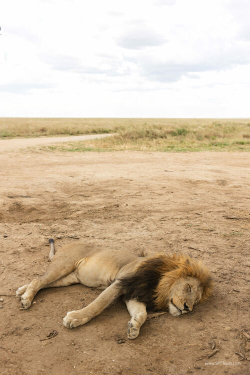 Tanzania_Luxe_Nov24_L-431