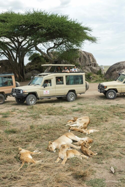 Tanzania_Luxe_Nov24_L-449