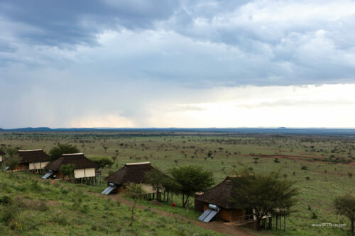 Tanzania_Luxe_Nov24_L-472