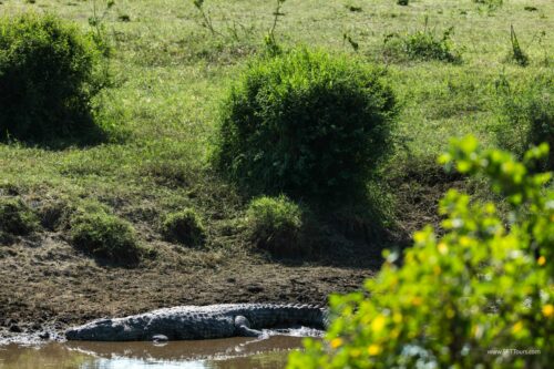 Tanzania_Luxe_Nov24_L-481