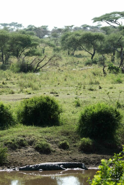 Tanzania_Luxe_Nov24_L-485