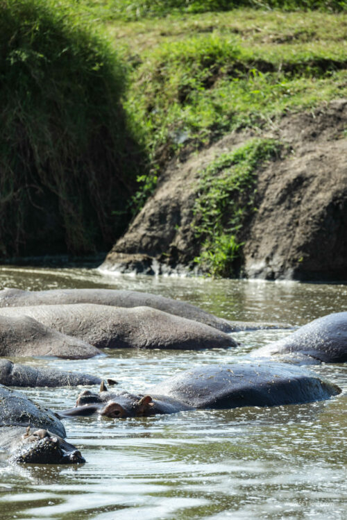 Tanzania_Luxe_Nov24_L-489