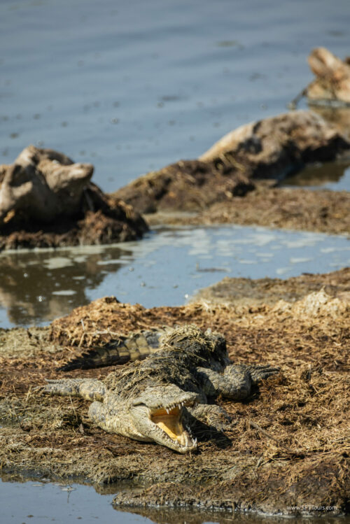 Tanzania_Luxe_Nov24_L-490
