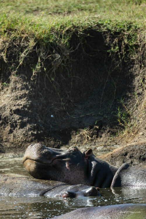 Tanzania_Luxe_Nov24_L-491