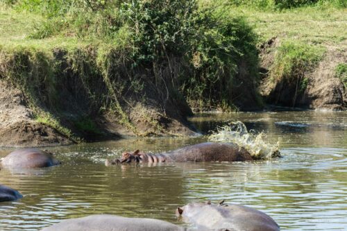 Tanzania_Luxe_Nov24_L-492