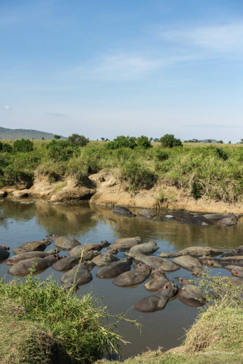 Tanzania_Luxe_Nov24_L-501