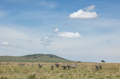 Tanzania_Luxe_Nov24_L-513