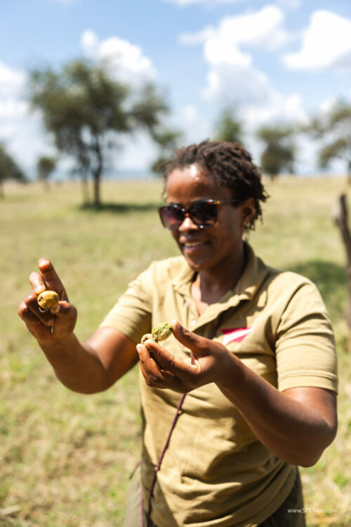 Tanzania_Luxe_Nov24_L-520