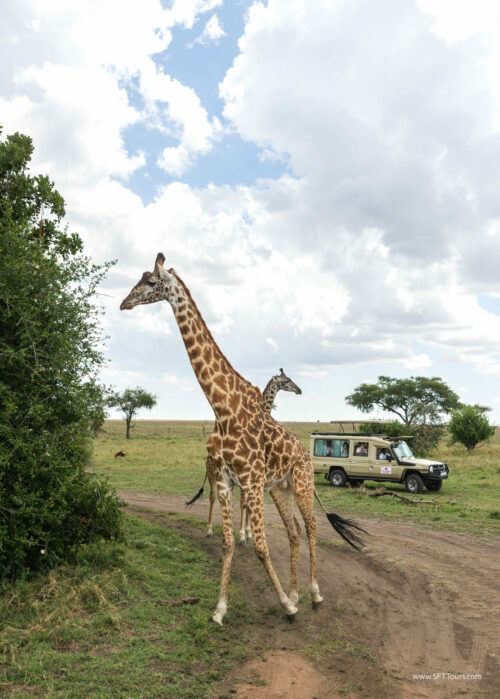 Tanzania_Luxe_Nov24_L-531