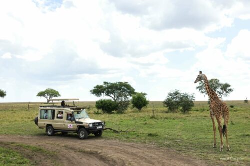 Tanzania_Luxe_Nov24_L-539